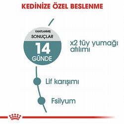 Royal Canin Hairball Tüy Yumağı Önleyici Yetişkin Kedi Maması 2 Kg - Thumbnail