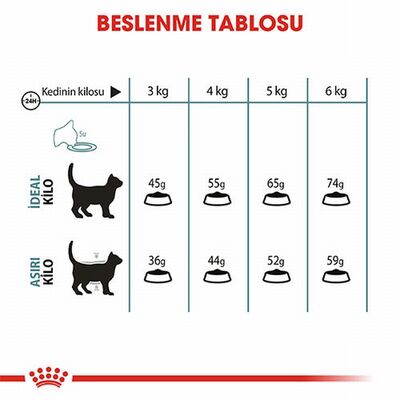Royal Canin Hairball Tüy Yumağı Önleyici Yetişkin Kedi Maması 2 Kg 
