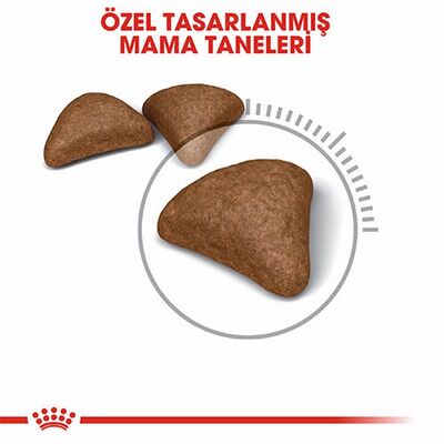 Royal Canin Hairball Tüy Yumağı Önleyici Yetişkin Kedi Maması 2 Kg 