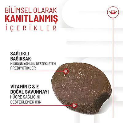 Royal Canin Immunity Digestion Chews Bağışıklık ve Sindirim Sistemi Destekleyici Yavru Köpek Ödül Maması 100 Gr 