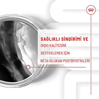 Royal Canin Immunity Digestion Chews Bağışıklık ve Sindirim Sistemi Destekleyici Yavru Köpek Ödül Maması 100 Gr 