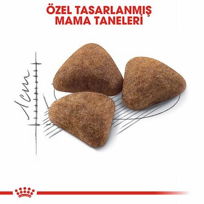 Royal Canin Indoor 27 Evde Yaşayan Yetişkin Kedi Maması 2 Kg 