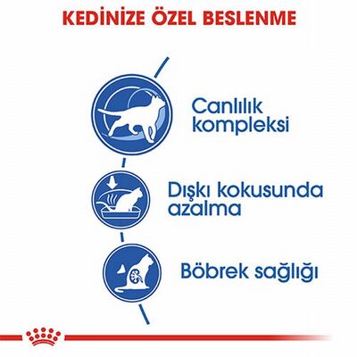 Royal Canin İndoor 7+ Evde Yaşayan Yaşlı Kedi Maması 3,5 Kg 