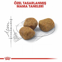 Royal Canin İndoor 7+ Evde Yaşayan Yaşlı Kedi Maması 3,5 Kg - Thumbnail