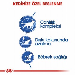 Royal Canin İndoor 7+ Evde Yaşayan Yaşlı Kedi Maması 3,5 Kg - Thumbnail