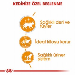 Royal Canin Intense Beauty Gravy Pouch Yetişkin Kedi Konservesi 6 Adet 85 Gr - Thumbnail