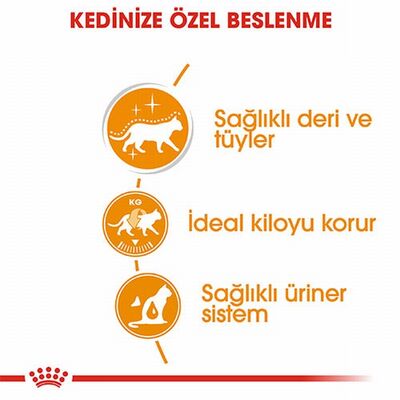 Royal Canin Intense Beauty Gravy Pouch Yetişkin Kedi Konservesi 6 Adet 85 Gr 