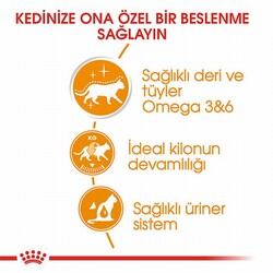 Royal Canin İntense Beauty Jelly Pouch Yetişkin Kedi Konservesi 6 Adet 85 Gr - Thumbnail