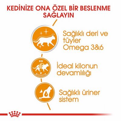 Royal Canin İntense Beauty Jelly Pouch Yetişkin Kedi Konservesi 6 Adet 85 Gr 