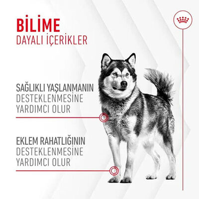 Royal Canin Joint Ageing Chews Eklem Sağlığını Destekleyen ve Yaşlanma Karşıtı Yetişkin Köpek Ödül Maması 240 Gr 