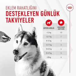 Royal Canin Joint Ageing Chews Eklem Sağlığını Destekleyen ve Yaşlanma Karşıtı Yetişkin Köpek Ödül Maması 240 Gr - Thumbnail