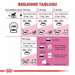 Royal Canin Kitten Yavru Kedi Maması 10 Kg - Thumbnail