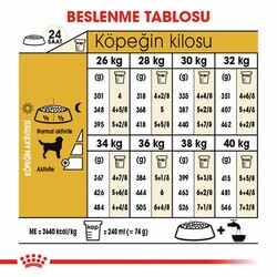 Royal Canin Labrador Retriever Adult Yetişkin Köpek Maması 12 Kg - Thumbnail