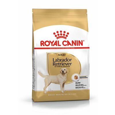 Royal Canin Labrador Adult Yetişkin Köpek Maması