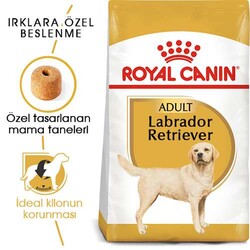 Royal Canin Labrador Adult Yetişkin Köpek Maması - Thumbnail