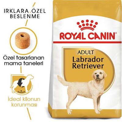 Royal Canin Labrador Adult Yetişkin Köpek Maması