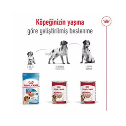 Royal Canin Loaf Mousse Orta Irk Ezme Yetişkin Köpek Konservesi 6 Adet 410 Gr - Thumbnail