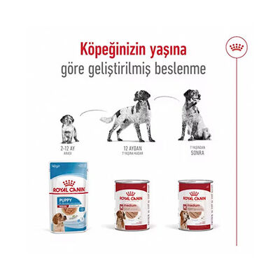 Royal Canin Loaf Mousse Orta Irk Ezme Yetişkin Köpek Konservesi 6 Adet 410 Gr 