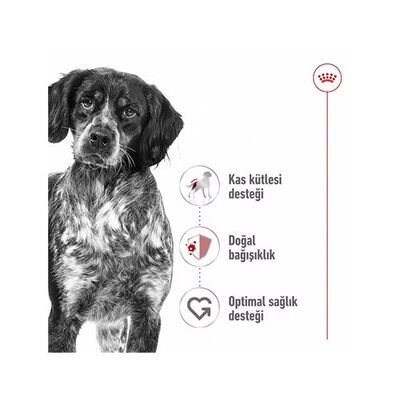 Royal Canin Loaf Mousse Orta Irk Ezme Yetişkin Köpek Konservesi 6 Adet 410 Gr 