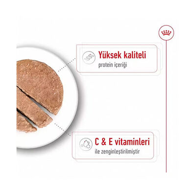 Royal Canin Loaf Mousse Orta Irk Ezme Yetişkin Köpek Konservesi 6 Adet 410 Gr 