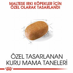 Royal Canin Maltese Terrier Adult Yetişkin Köpek Maması 1,5 Kg - Thumbnail
