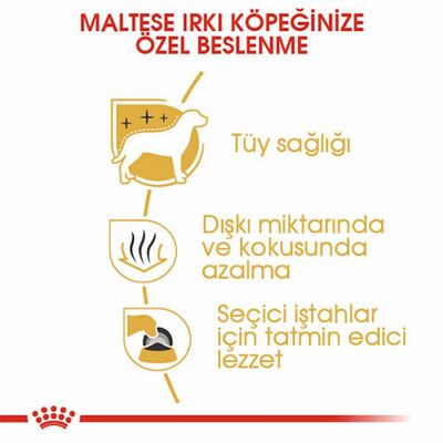 Royal Canin Maltese Terrier Adult Yetişkin Köpek Maması 1,5 Kg 