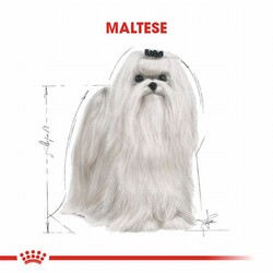 Royal Canin Maltese Terrier Adult Yetişkin Köpek Maması 1,5 Kg - Thumbnail
