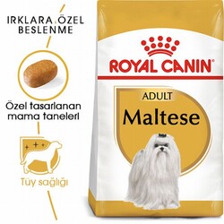 Royal Canin Maltese Terrier Adult Yetişkin Köpek Maması 1,5 Kg - Thumbnail
