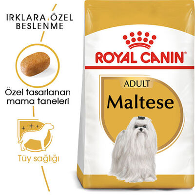 Royal Canin Maltese Adult Yetişkin Köpek Maması