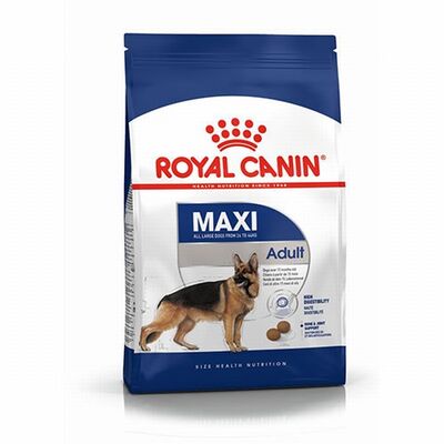 Royal Canin Maxi Adult Büyük Irk Yetişkin Köpek Maması 15 Kg 