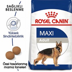 Royal Canin Maxi Adult Büyük Irk Yetişkin Köpek Maması 15 Kg - Thumbnail