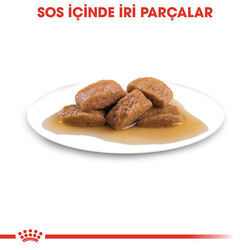 Royal Canin Maxi Adult Gravy Yetişkin Köpek Konservesi 140 Gr - Thumbnail