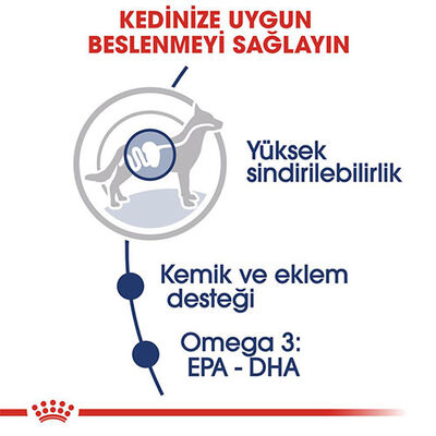 Royal Canin Maxi Adult Gravy Yetişkin Köpek Konservesi 140 Gr 