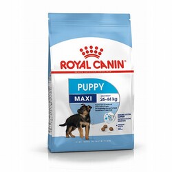 Royal Canin Köpek Mamaları - Royal Canin Maxi Puppy Büyük Irk Yavru Köpek Maması 15 Kg 