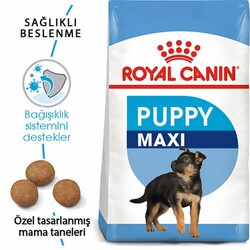 Royal Canin Maxi Puppy Büyük Irk Yavru Köpek Maması 15 Kg - Thumbnail