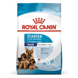 Royal Canin - Royal Canin Maxi Starter Mother&Babydog Köpek Maması