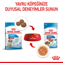 Royal Canin Medium Puppy Gravy Yavru Köpek Konservesi 10 Adet 140 Gr - Thumbnail