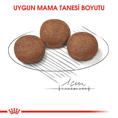 Royal Canin Medium Puppy Orta Irk Yavru Köpek Maması 15 Kg 