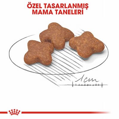 Royal Canin Mini Adult 8+ Küçük Irk Yaşlı Köpek Maması 2 Kg 