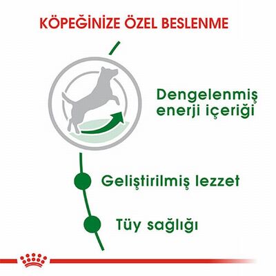 Royal Canin Mini Adult Küçük Irk Yetişkin Köpek Maması 4 Kg 