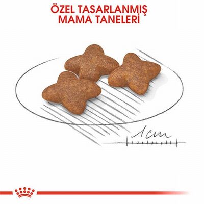 Royal Canin Mini Adult Küçük Irk Yetişkin Köpek Maması 8 Kg 