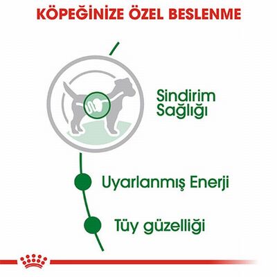Royal Canin Mini Adult Pouch Yetişkin Köpek Konservesi 85 Gr 