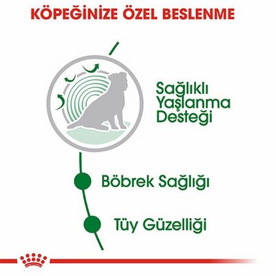 Royal Canin Mini Ageing 12+ Pouch Yaşlı Köpek Konservesi 6 Adet 85 Gr 