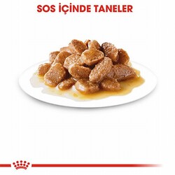 Royal Canin Mini Ageing 12+ Pouch Yaşlı Köpek Konservesi 6 Adet 85 Gr - Thumbnail