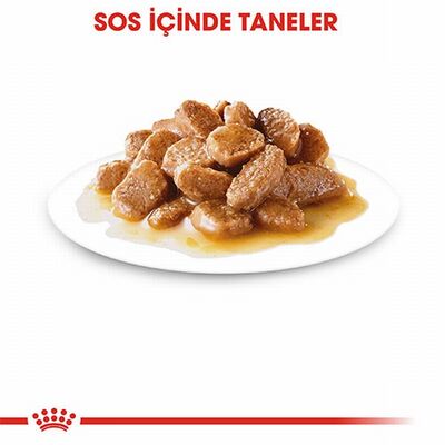 Royal Canin Mini Ageing 12+ Pouch Yaşlı Köpek Konservesi 6 Adet 85 Gr 