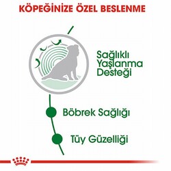 Royal Canin Mini Ageing 12+ Pouch Yaşlı Köpek Konservesi 6 Adet 85 Gr - Thumbnail