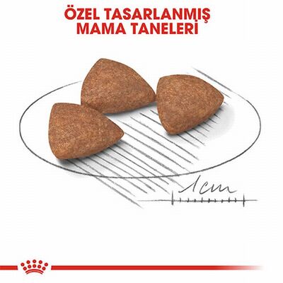 Royal Canin Mini İndoor Adult Küçük Irk Yetişkin Köpek Maması 1,5 Kg 