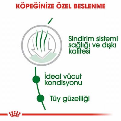 Royal Canin Mini İndoor Adult Küçük Irk Yetişkin Köpek Maması 1,5 Kg 