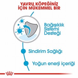 Royal Canin Mini Puppy Küçük Irk Yavru Köpek Maması 2 Kg+2 Adet Pouch Hediye - Thumbnail