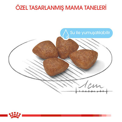 Royal Canin Mini Starter Mother & Babydog Küçük Irk Yavru Köpek Maması 4 Kg 